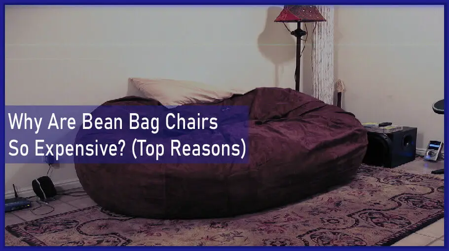 Why Are Bean Bag Chairs So Expensive? (Top Reasons)