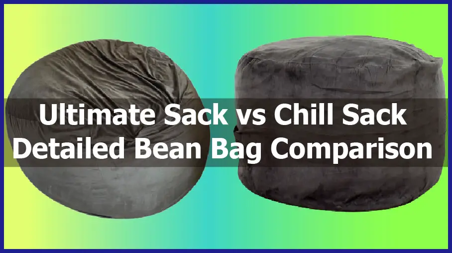 Chill Sack vs Ultimate Sack 2024: Which Bean Bag is Better?