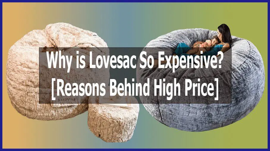 Why is Lovesac So Expensive? [Reasons Behind High Price]