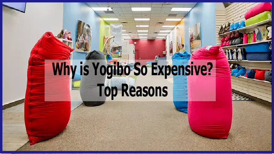 Why is Yogibo So Expensive? [Top 8 Reasons]