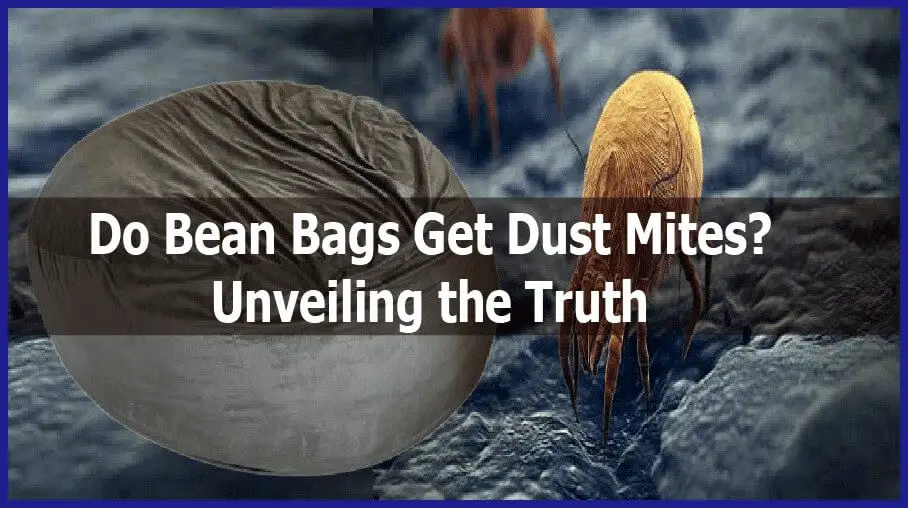 Do Bean Bags Get Dust Mites? (Unveiling the Truth)